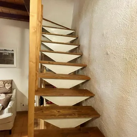 Apartman Mad House *