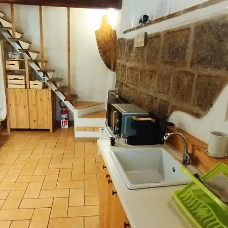 Apartment Mad House *