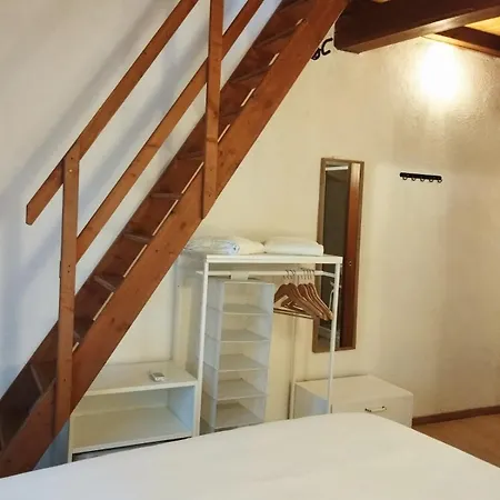 Apartment Mad House